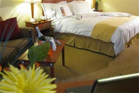 Charleston Airport Hotel نورث تشارليستون الغرفة الصورة